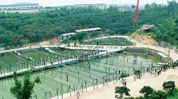 �����^(q��)